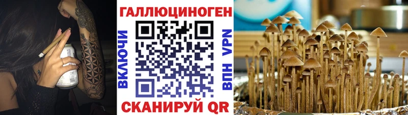 shop официальный сайт  цены наркотик  Обь  Псилоцибиновые грибы MAGIC MUSHROOMS 