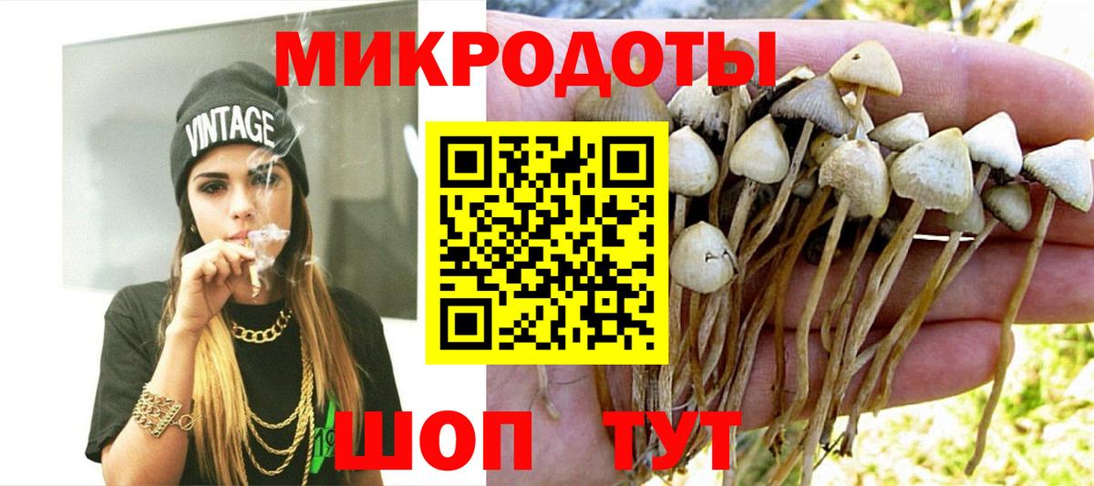 Псилоцибиновые грибы мицелий  Галлюциногенные грибы Psilocybe  Обь  Вход с VPN 