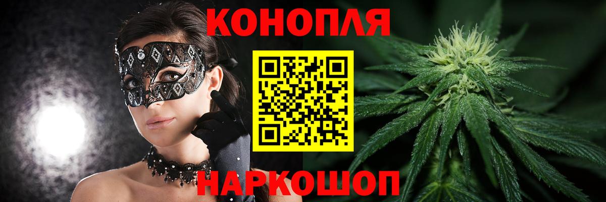 Бошки Шишки план Обь